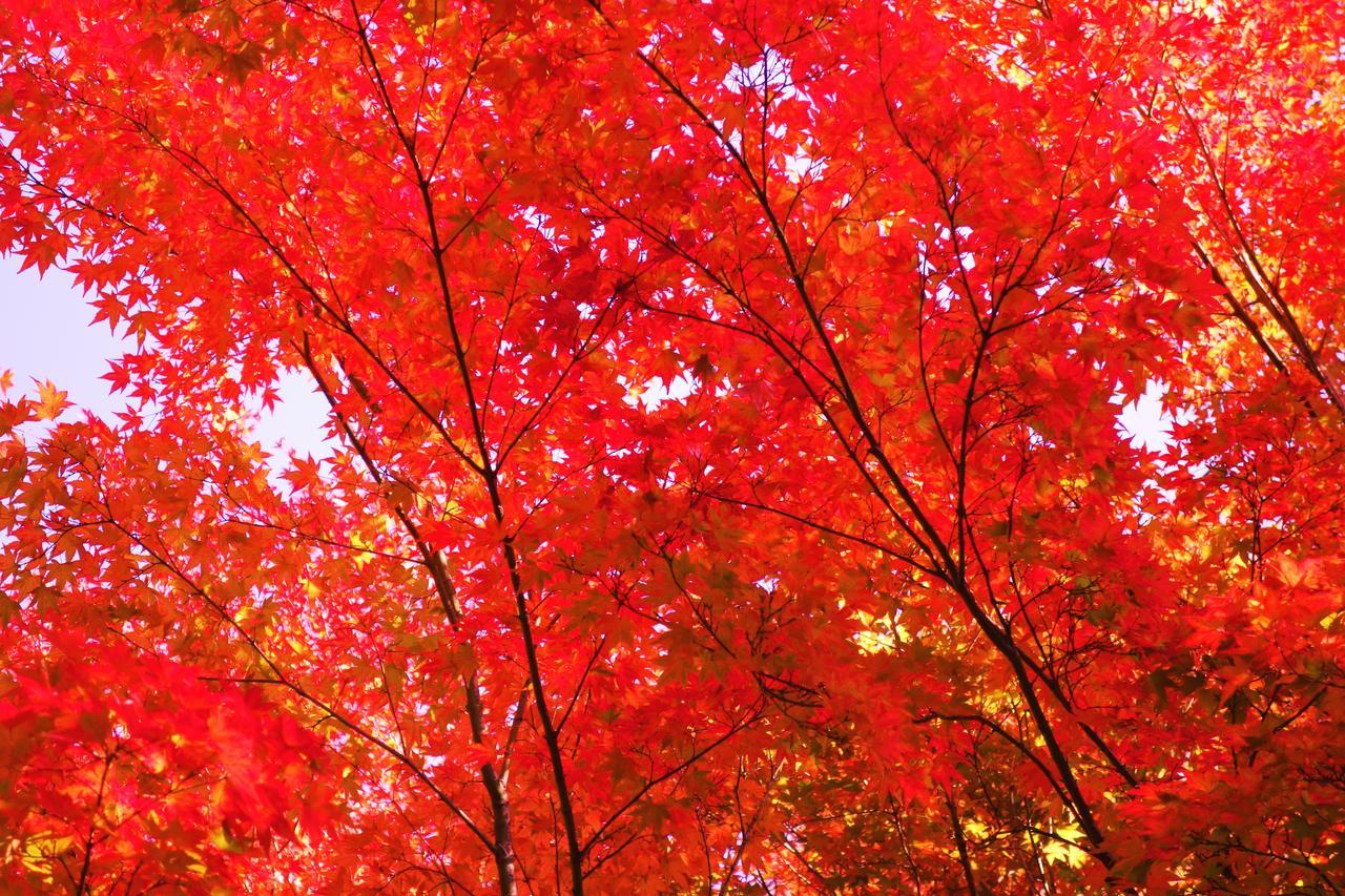 Kishutetsudo Karuizawa Hotel Цумагои Экстерьер фото